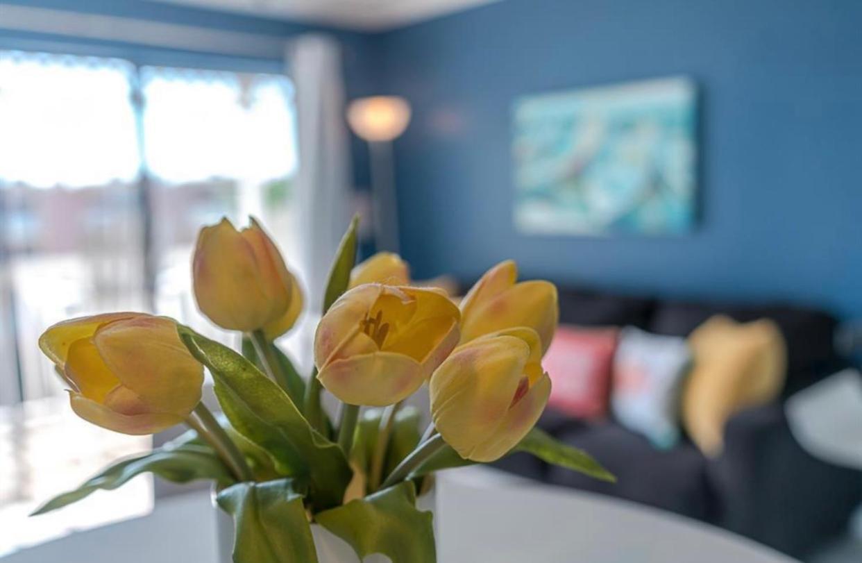 Beach Escape - Top Floor Ocean Views - Heated Pool - Seawall Blvd Γκάλβεστον Εξωτερικό φωτογραφία